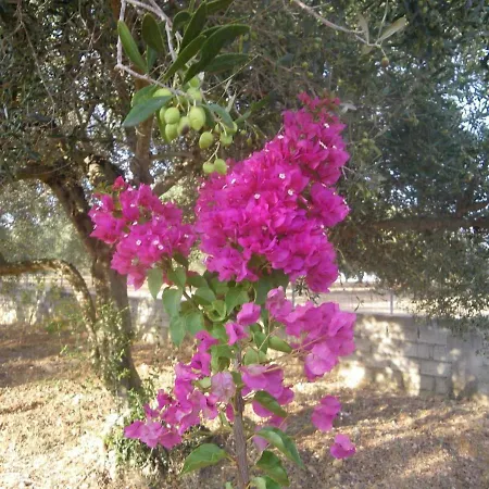 Holiday home Margaret's House Livathos (Kefalonia)