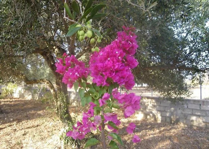Semesterbostad Margaret's House Livathos (Kefalonia)